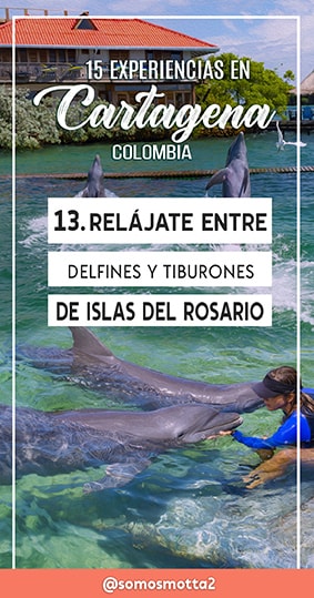 13. Relájate entre Delfines y tiburones en el Acuario de Islas del Rosario
